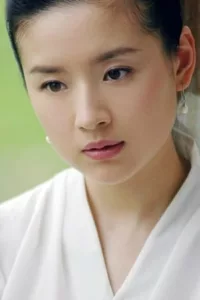 Dong Jie en streaming