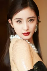 films et séries avec Yang Mi