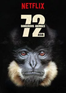 72 animaux dangereux en Asie en streaming