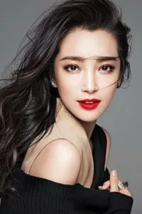 films et séries avec Li Bingbing