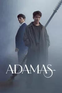 Les frères jumeaux Woosin et Suhyeon on perdu leur père dans une affaire de meurtre il y a 22 ans. Devenu auteur de romans policiers, Woosin découvre que l’arme du crime est une flèche en diamant appelée « Adamas ». Afin de […]