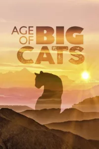 Age of Big Cats en streaming