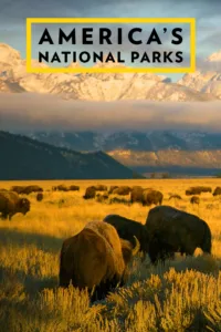 An epic journey from the geysers of Yellowstone to the rugged Pacific coast of the Olympic peninsula, from the hot desert of Saguaro to the icy Gates of the Arctic, from the subtropical sea of grass in the Everglades to […]