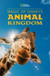 Au cœur de Disney’s Animal Kingdom en streaming