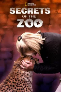 Au coeur du zoo en streaming