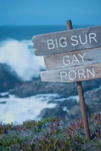 Cult filmmaker Tom DeSimone (Reform School Girls; Erotikus: A History of the Gay Movie) revisits the production of a lost gay film and resurrects youthful adventures on the California coast. From the creators of Raw! Uncut! Video!.   Bande annonce […]