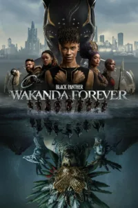 films et séries avec Black Panther : Wakanda Forever