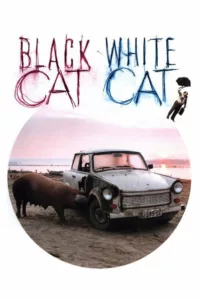 Chat noir, chat blanc en streaming