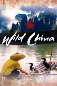 La Chine est le troisième plus grand pays du monde, celui qui a connu les événements de l’histoire contemporaine les plus tumultueux et l’une des plus anciennes civilisations. Pour la première fois depuis un siècle, la Chine s’ouvre au monde. […]