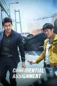 Confidential Assignment en streaming