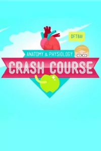 Crash Course Anatomy & Physiology en streaming