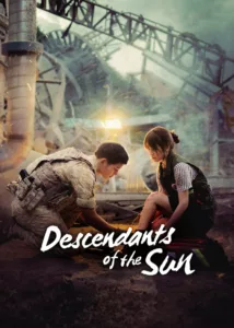 Descendants of the Sun en streaming