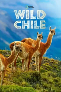 Destination Wild : Chili en streaming