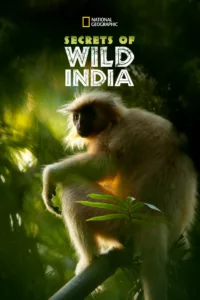 Destination Wild : Inde à l’état sauvage célèbre la diversité des paysages spectaculaires de l’Inde. Chacun des trois épisodes de cette mini-série dresse le portrait d’un écosystème emblématique en décrivant la vie qui le compose. Entre pertes et renouveau, beauté […]