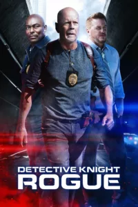 Detective Knight: Rogue en streaming
