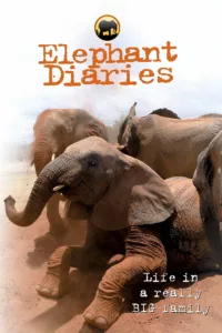 Wildlife series following the lives of a group of orphaned African bush elephants at a sanctuary in Kenya as they face some of the biggest challenges of their lives.   Bande annonce / trailer de la série Elephant Diaries en […]