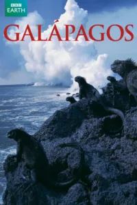 Galápagos en streaming