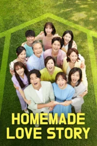 Homemade Love Story en streaming