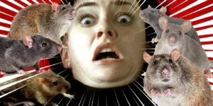 Le film d’horreur B le plus répugnant que vous n’avez probablement jamais vu est sur le point de vous faire frissonner. Sorti en 2002, « Les rats » est un film efficace et bien réalisé qui présente des rats infestant des endroits […]