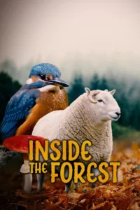 Exploring the legends, heritage, ancient settlements and hunting history of Kielder Forest, including a rare window into the wild woodlands that once stretched the length and breadth of Europe.   Bande annonce / trailer de la série Inside the Forest […]