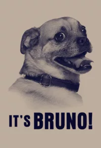 It’s Bruno! en streaming