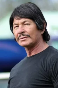 Robert Bronzi en streaming