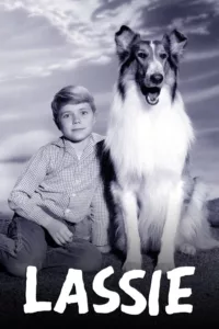 Lassie en streaming