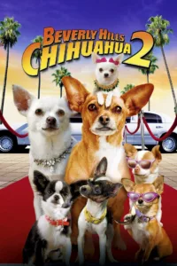 films et séries avec Le Chihuahua de Beverly Hills 2