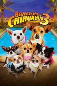 films et séries avec Le Chihuahua de Beverly Hills 3 : Viva la Fiesta !