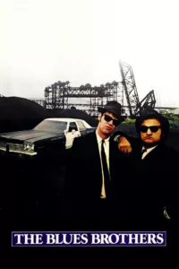 Les Blues Brothers en streaming