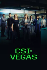 Les experts Las Vegas en streaming
