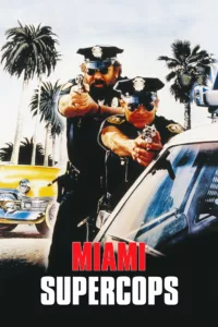 Les super flics de Miami en streaming