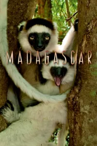 Madagascar, le monde perdu en streaming