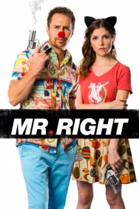 films et séries avec Mr. Right
