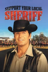 Ne tirez pas sur le shérif ! en streaming