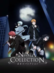 Ninja Collection en streaming