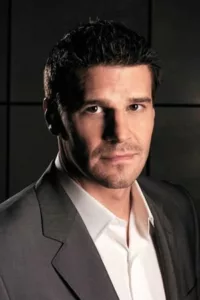 films et séries avec David Boreanaz