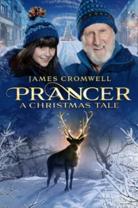 À l’approche de Noël, dans la petite ville de Brightridge, le grand-père Bud, interprété par James Cromwell, s’apprête à fermer boutique, deux ans après la mort de sa femme. À la suite d’un accident, son fils, sa fille et leurs […]