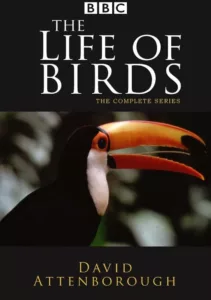 In the documentary series produced by the BBC, The Life of Birds, Sir David Attenborough unveils a new investigation into the behaviour of birds, perfectly adapted animals that conquer the air. This ten-part series reveals the secret of the birds’ […]