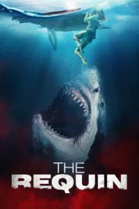 films et séries avec The Requin