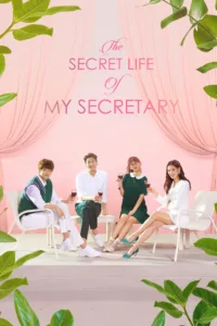 The Secret Life of My Secretary en streaming