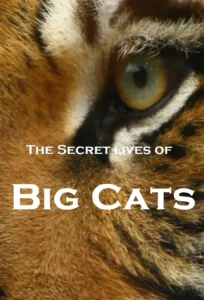 The Secret Lives Of Big Cats en streaming