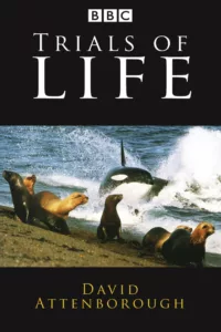 A study in animal behaviour, it was the third in a trilogy of major series (beginning with Life on Earth) that took a broad overview of nature, rather than the more specialised surveys of Attenborough’s later productions. Each of the […]