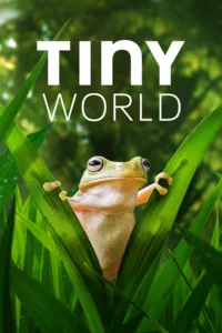 Tiny World en streaming
