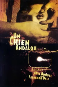 Tout commence sur un balcon où un homme aiguise un rasoir… La suite est une série de métamorphoses surréalistes. Un homme sectionne l’œil d’une jeune fille. Un nuage passe devant la lune. Huit ans après. Un cycliste tombe accidenté dans […]