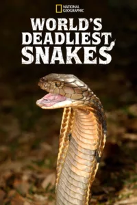 Un monde mortel : redoutables serpents en streaming