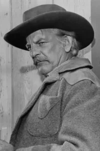 From Wikipedia, the free encyclopedia Denver Dell Pyle (May 11, 1920 – December 25, 1997) was an American film and television actor. He was known for portraying Briscoe Darling Jr. in several episodes of The Andy Griffith Show, and playing […]