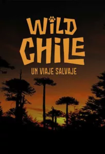 Wild Chile: Un viaje salvaje en streaming