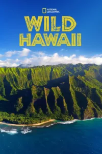 Il y a 7 millions d’années, Hawaï émergeait sous forme de désert volcanique. La manière dont cet archipel s’est transformé en un paradis est une histoire incroyable. Hawaï est donc née du feu dans un monde d’eau. Ce monde sous-marin […]