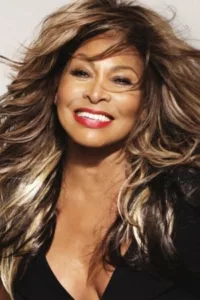 Tina Turner en streaming